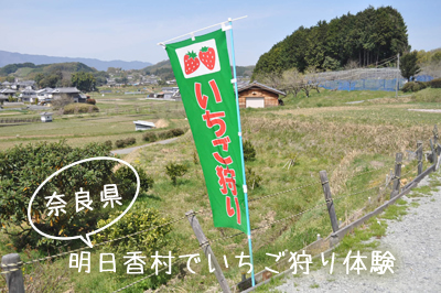 奈良県　明日香村へ行って来ました。